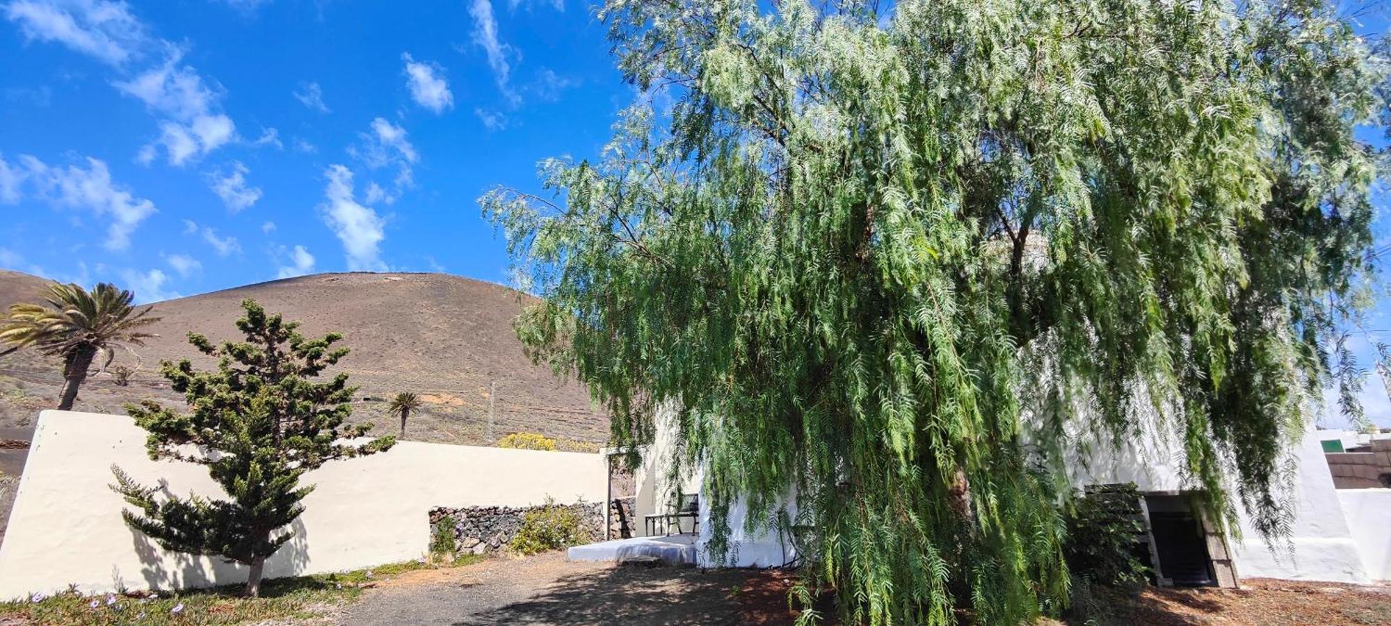 Casa Olga Villa Máguez Dış mekan fotoğraf
